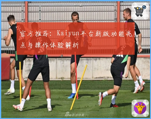 官方推荐：Kaiyun平台新版功能亮点与操作体验解析