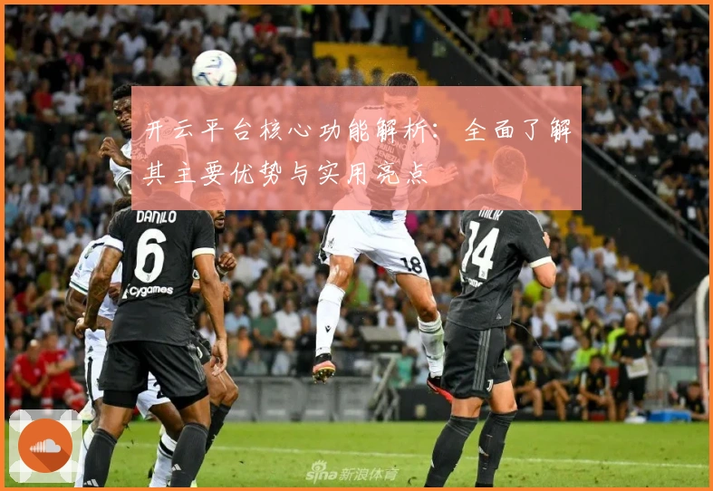 开云平台核心功能解析：全面了解其主要优势与实用亮点