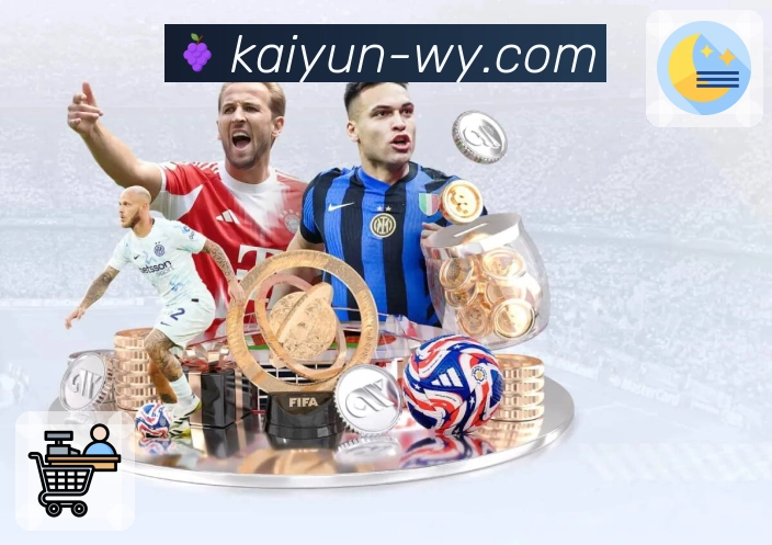 平台辅助工具 - 稳定访问