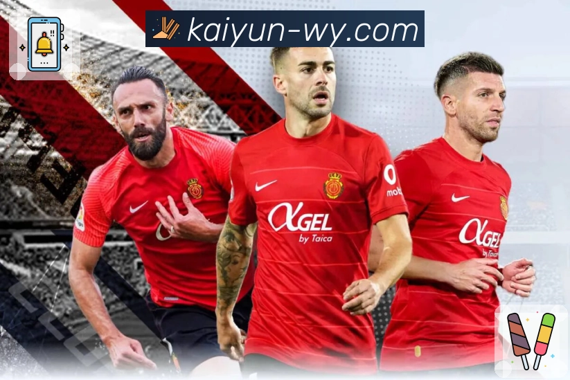 安全登录器 - 加密访问